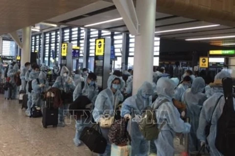 Граждане Вьетнама проходят регистрацию в аэропорту (Фото: ВИА)