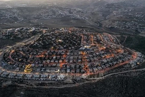Вид на израильское поселение Текоа на оккупированном Западном берегу 17 ноября 2020 г. (Фото: AFP /ВИA) 