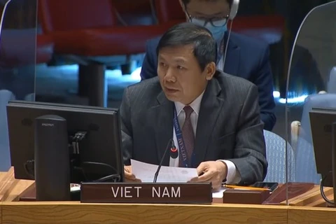 Посол Данг Динь Куи, глава постоянного представительства Вьетнама при Организации Объединенных Наций, подчеркнул необходимость укрепления доверия между сторонами для продвижения политического процесса. (Фото: ВИА)