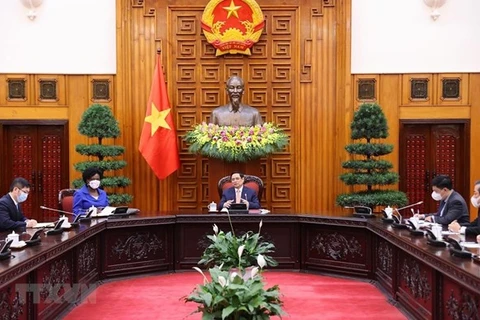 Премьер-министр Фам Минь Тьинь (в центре) выступает на встрече (Фото: ВИА)