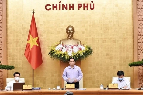Премьер-министр Фам Минь Тьинь на заседании правительства (Фото: baochinhphu.vn)