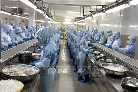 Переработка замороженных креветок на экспорт в акционерной компании Thong Thuan Cam Ranh Seafood, провинция Кханьхоа. (Фото: Фан Шау / ВИА)
