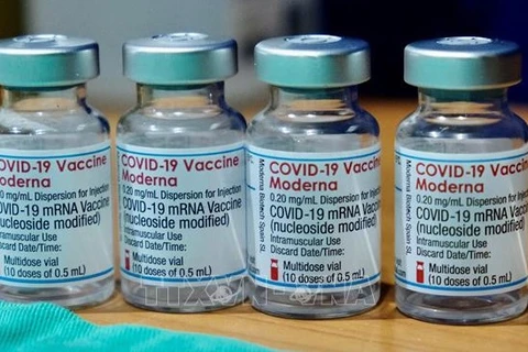 Вакцина Moderna от COVID-19. (Фото: AFP / ВИА)