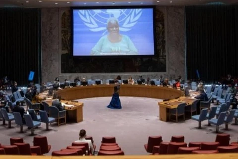 На заседании СБ ООН по ситуации в Конго. (Фото: ВИА)