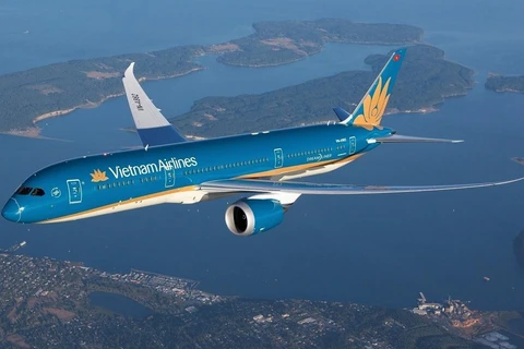 Самолет Vietnam Airlines. (Фото: Vietnam+)
