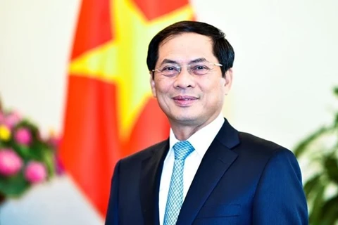  Министр иностранных дел Буй Тхань Шон (Фото: ВИА)