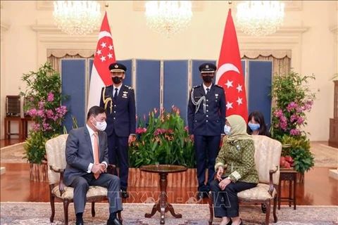 Посол Вьетнама в Сингапуре Май Фуок Зунг (слева) вручает верительные грамоты президенту Сингапура Халиме Якоб 13 июля (Фото: ВИА)