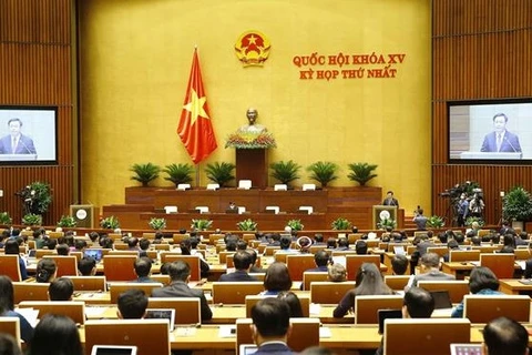 Председатель НС Выонг Динь Хюэ выступает со вступительным словом. (Фото: ВИА)
