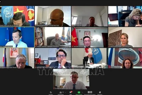 Первая онлайн-встреча Группы друзей ЮНКЛОС, 21 июля. (Фото: ВИА)