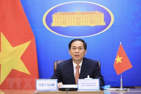 Министр иностранных дел Буй Тхань Шон на заседании. (Фото: ВИА)