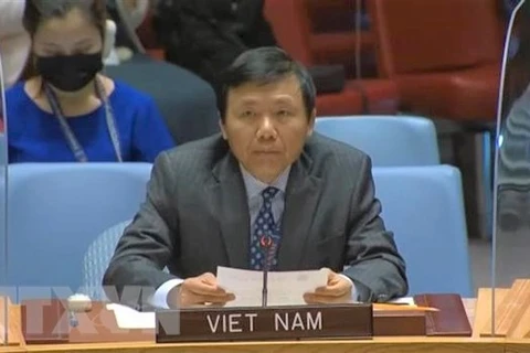 Посол Данг Динь Куи (Фото: ВИА)