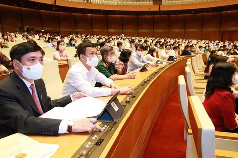 Депутаты голосуют за утверждение Резолюции о структуре количественного состава правительства. (Фото: ВИА)