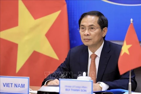 Министр иностранных дел Вьетнама Буй Тхань Шон. (Фото: ВИА)
