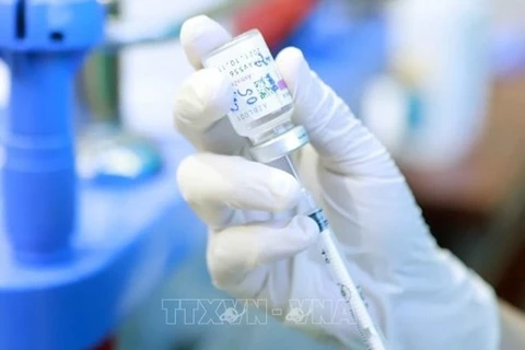 Вакцина против COVID-19 (иллюстративное фото: ВИА)