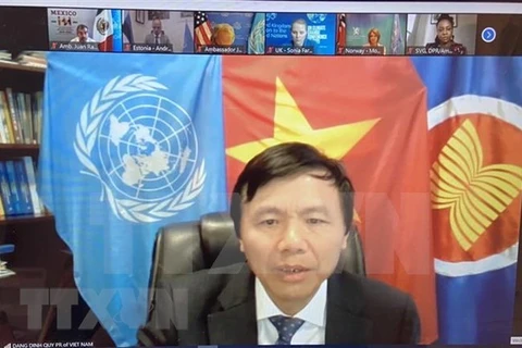 Глава постоянного представительства Вьетнама при ООН посол Данг Динь Куи на встрече (Фото: ВИА)