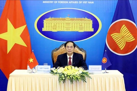 Министр иностранных дел Вьетнама Буй Тхань Шон (Фото: ВИA)