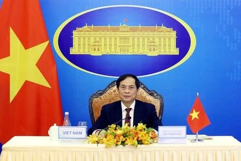 Министр иностранных дел Вьетнама Буй Тхань Шон (Фото: ВИА) 