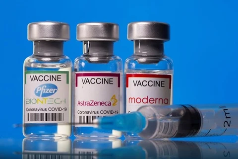 Три вакцины против COVID-19. (Фото: ВИА)