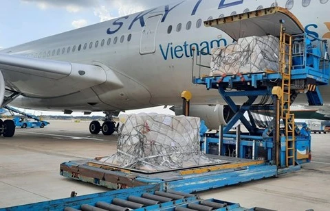 Более 203.000 наборов для экспресс-тестов, подаренных Германией Вьетнаму, благополучно прибыли в Хошимин (Фото: Vietnam Airlines)