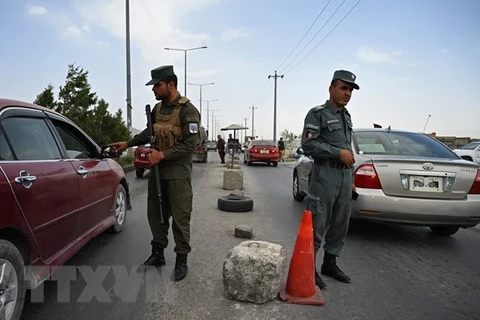 Солдаты службы безопасности Афганистана охраняют улицу, ведущую в столицу Кабула (Фото: AFP/ВИA)