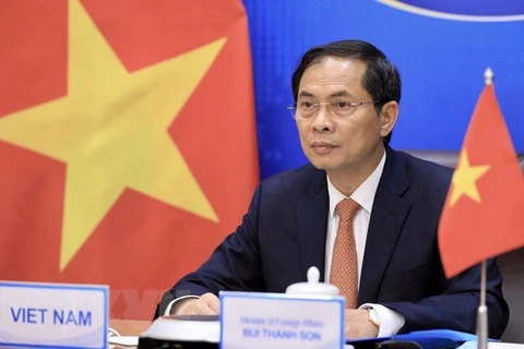 Министр иностранных дел Буй Тхань Шон. (Фото ВИА)