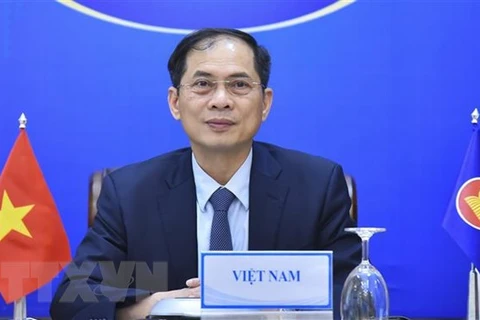 Министр иностранных дел Буй Тхань Шон. (Фото: ВИА)