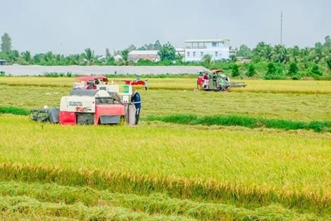 Программа «Вьетнам - страна лучшего риса в мире» (Источник: moit.gov.vn)
