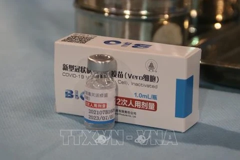 Вакцина Vero Cell Vaccine компании Sinopharm. ( Фото: ВИА)