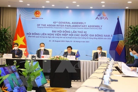 Вьетнамская делегация на заседании Социального комитета в рамках AIPA 42 (Фото: ВИA)
