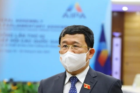 Председатель комитета Национального собрания по внешним связям Ву Хай Ха (Фото: ВИА)