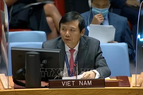  Посол Данг Динь Куи, глава постоянного представительства Вьетнама при Организации Объединенных Наций (Фото: ВИА)