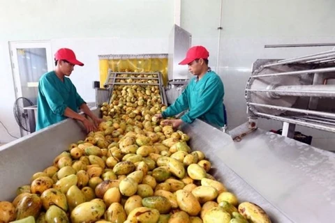 Переработка манго на экспорт в акционерном обществе Southern Nafoods в южной провинции Лонг-ан (Фото: ВИА)
