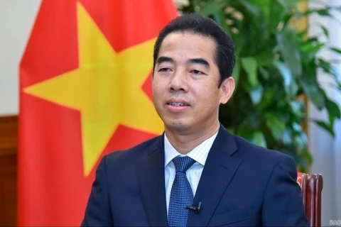 Заместитель министра иностранных дел То Ань Зунг (Фото: ВИA)