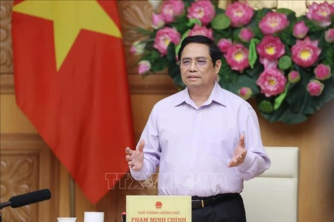 Премьер-министр Фам Минь Тьинь выступает на встрече. (Фото: Зыонг Жанг/ВИА)