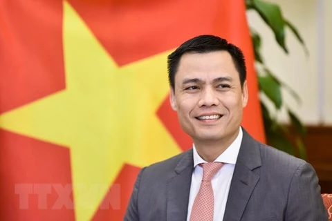 Заместитель министра иностранных дел Вьетнама Данг Хоанг Жанг. (Фото: ВИА)