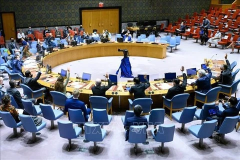 Заседание СБ ООН в Нью-Йорке (Фото: Синьхуа / ВИА) 