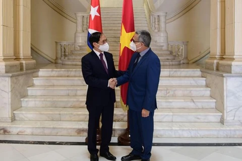 Министр иностранных дел Буй Тхань Шон (слева) и исполняющий обязанности министра иностранных дел Кубы Марселино Медина. (Фото: baoquocte.vn)