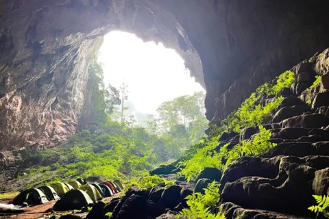 Вход в Ханг Пигмеи, четвертую по величине наземную пещеру, расположенную в национальном парке Фонгня-Кебанг в центральной провинции Куангбинь. (Фото: Нянзан)