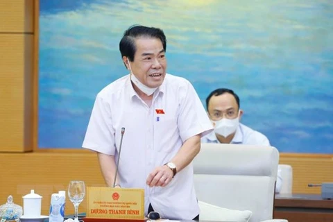 Глава петиционного комитета НС Зыонг Тхань Бинь выступает на заседании. (Фото: Зоан Тан/ВИА)