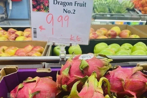 Вьетнамский драгонфрут на продажу в продуктовом супермаркете в Мельбурне, Австралия. (Фото: Зиеу Линь / ВИА)