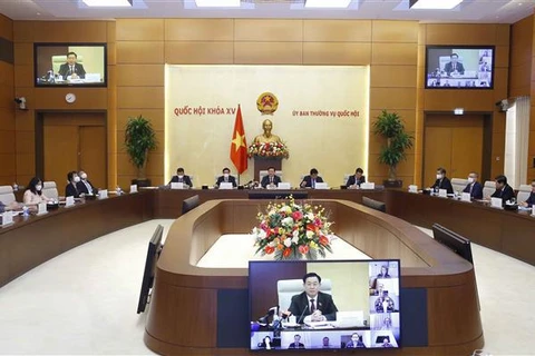 Председатель Национального собрания Выонг Динь Хюэ выступает на встрече. (Фото: ВИА)