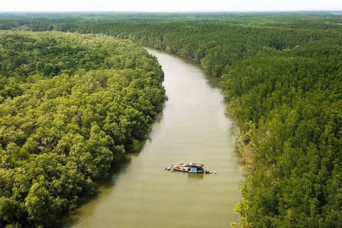 Фото для иллюстрации. (ВИА)