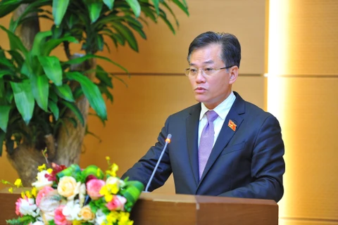 Заместитель председателя комитета по иностранным делам Дон Туан Фонг. (Фото: Минь Дык / ВИА)