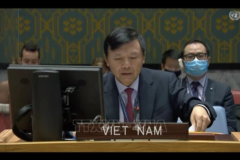 Посол Данг Динь Куи, глава делегации Вьетнама при ООН. (Фото: ВИА)
