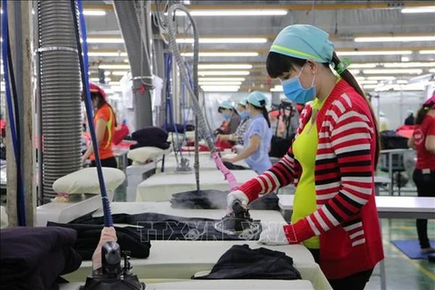 Производство на заводе Eclat Vietnam (Фото: ВИА)