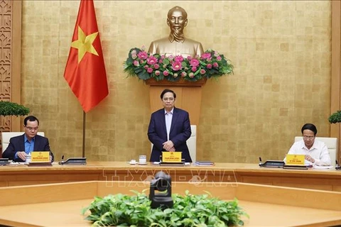 Премьер-министр Фам Минь Тьинь на конференции. (Фото: ВИА)