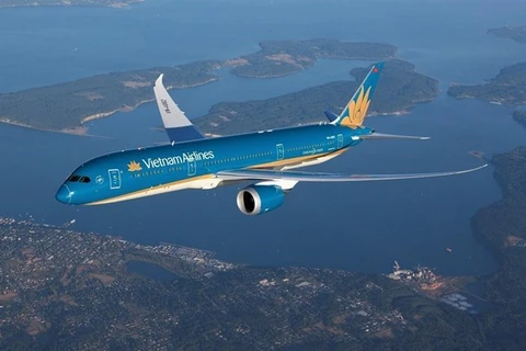 Самолет Vietnam Airlines (Фото: ВИА)