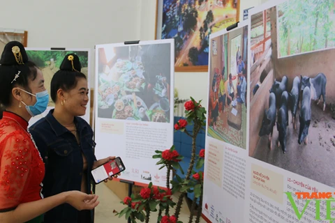 Посетители рассматривают фотографии, представленные на выставке, посвященной животноводству Вьетнама глазами художников и фермеров в Шонла (Фото: trangtraiviet.vn) 