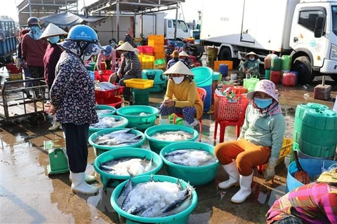 Торговля рыбами в рыбацком порту Донгхай, город Фанранг-Тхаптям. (Фото: Нгуен Тхань / ВИА)
