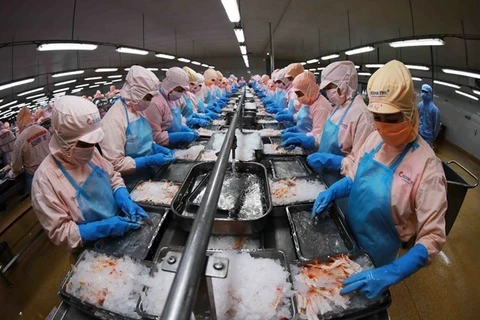 Линия по переработке замороженных креветок для экспорта акционерной компании Minh Phu Hau Giang Seafood в индустриальном парке Шонгхау, провинция Хаужанг. (Фото: ВИА)